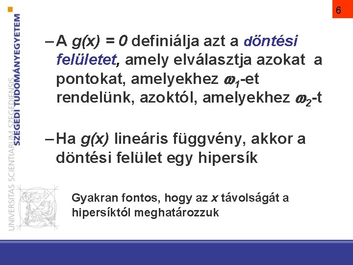 6 – A g(x) = 0 definiálja azt a döntési felületet, amely elválasztja azokat