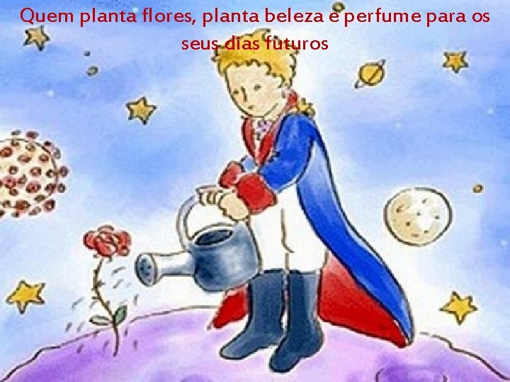 Quem planta flores, planta beleza e perfume para os seus dias futuros 