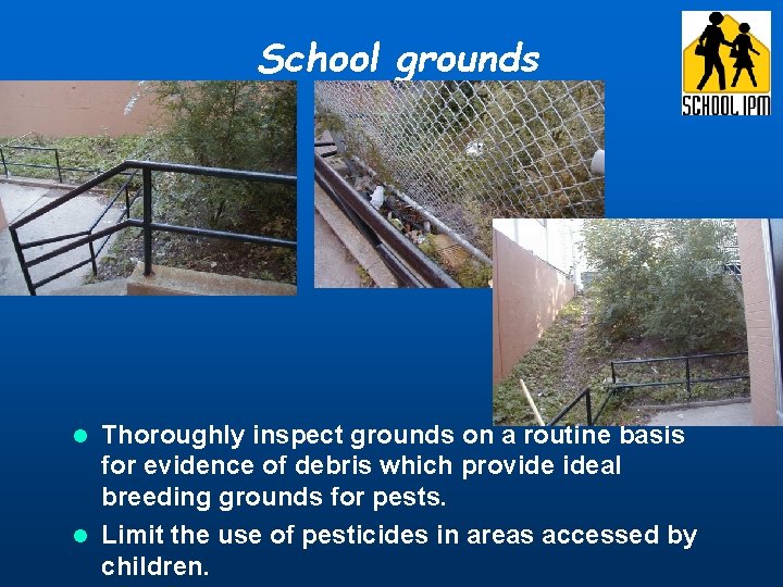 School grounds Thoroughly inspect grounds on a routine basis for evidence of debris which