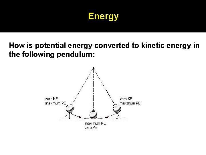 Energy How is potential energy converted to kinetic energy in the following pendulum: Energy How is potential energy converted to kinetic energy in the following pendulum: