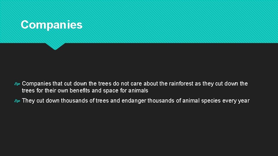 Companies that cut down the trees do not care about the rainforest as they