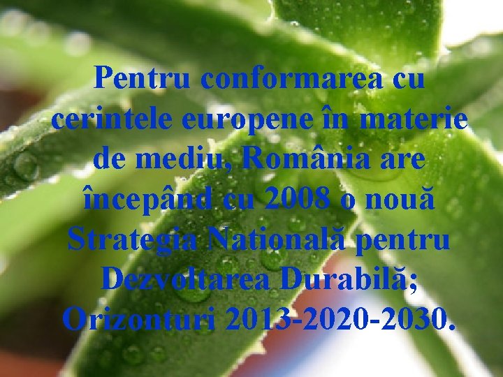 Pentru conformarea cu cerintele europene în materie de mediu, România are începând cu 2008