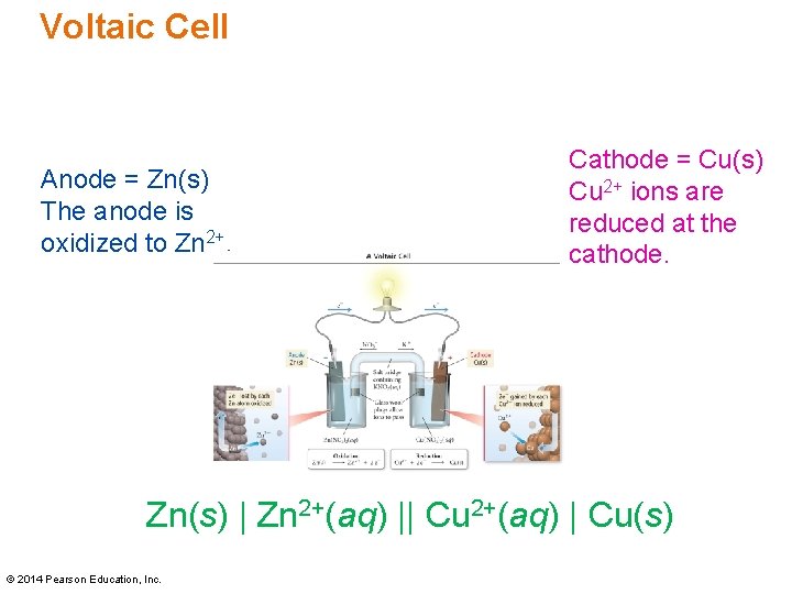 Voltaic Cell Anode = Zn(s) The anode is oxidized to Zn 2+. Cathode =
