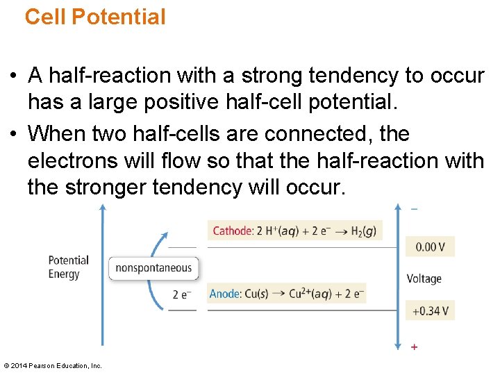 Cell Potential • A half-reaction with a strong tendency to occur has a large