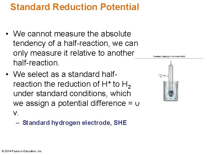 Standard Reduction Potential • We cannot measure the absolute tendency of a half-reaction, we