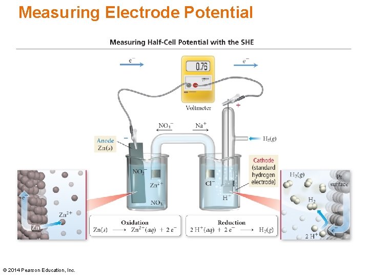 Measuring Electrode Potential Figure 18. 7 © 2014 Pearson Education, Inc. 