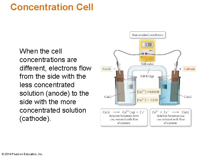 Concentration Cell When the cell concentrations are different, electrons flow from the side with