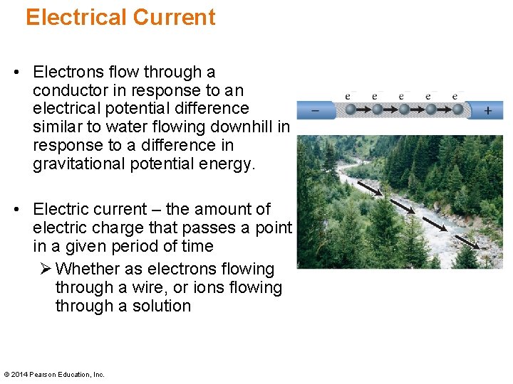 Electrical Current • Electrons flow through a conductor in response to an electrical potential