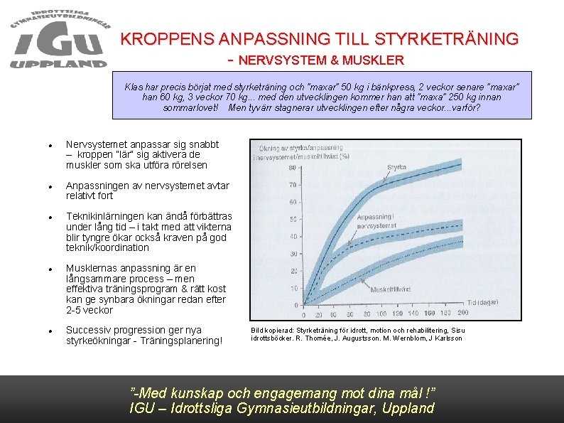 KROPPENS ANPASSNING TILL STYRKETRÄNING - NERVSYSTEM & MUSKLER Klas har precis börjat med styrketräning