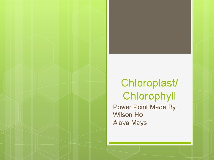 Chloroplast/ Chlorophyll Power Point Made By: Wilson Ho Alaya Mays 