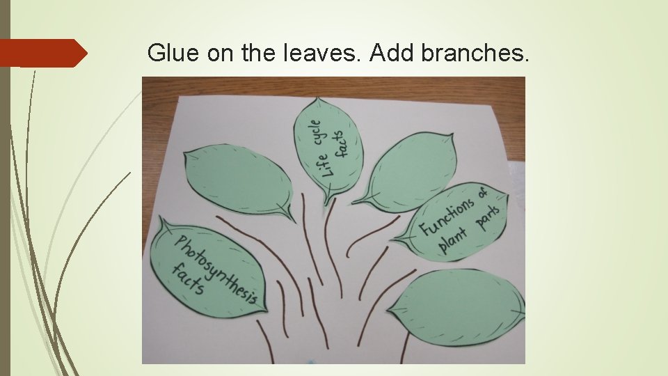 Glue on the leaves. Add branches. 