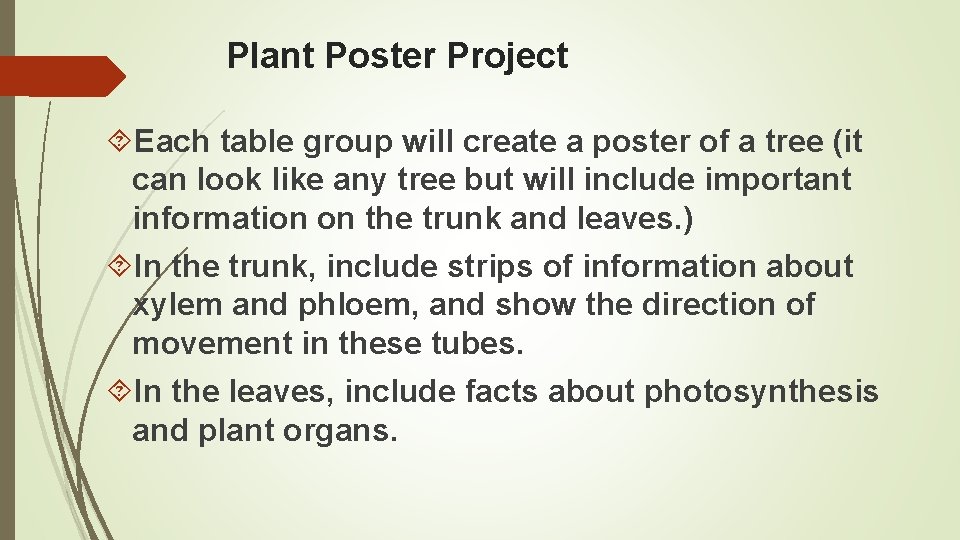 Plant Poster Project Each table group will create a poster of a tree (it