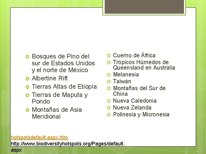 Bosques de Pino del sur de Estados Unidos y el norte de México Albertine