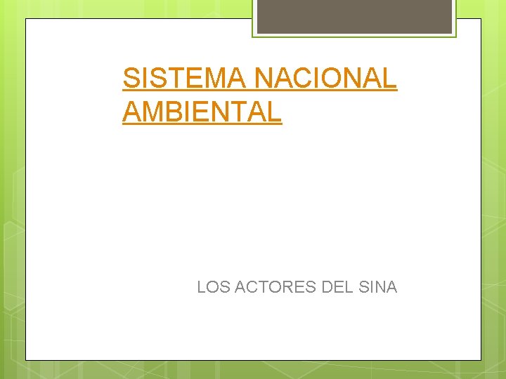 SISTEMA NACIONAL AMBIENTAL LOS ACTORES DEL SINA 