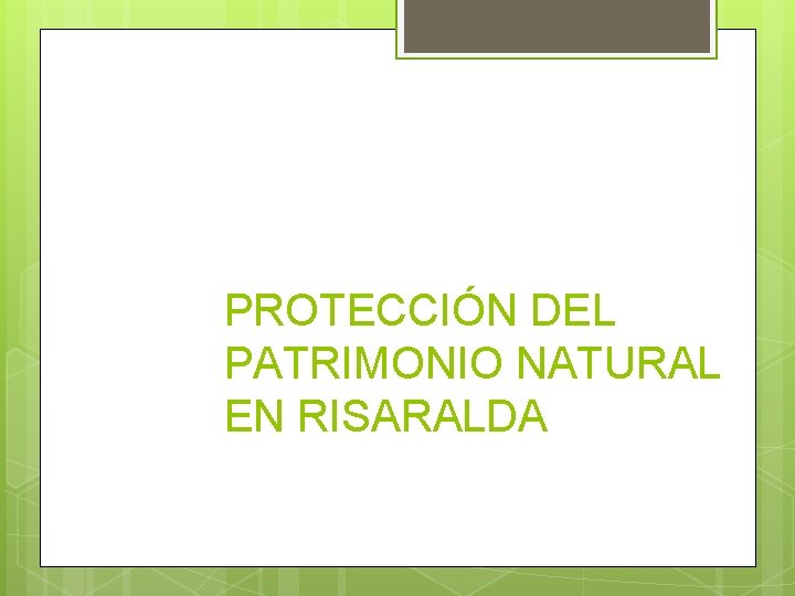 PROTECCIÓN DEL PATRIMONIO NATURAL EN RISARALDA 