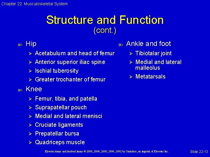 Chapter 22: Musculoskeletal System Structure and Function (cont. ) Hip Acetabulum and head of