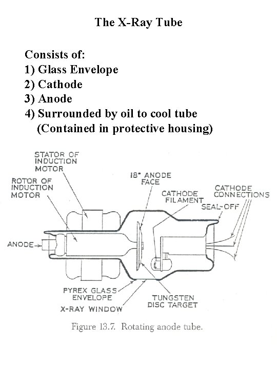 The X-Ray Tube Consists of: 1) Glass Envelope 2) Cathode 3) Anode 4) Surrounded