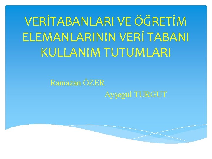 VERİTABANLARI VE ÖĞRETİM ELEMANLARININ VERİ TABANI KULLANIM TUTUMLARI Ramazan ÖZER Ayşegül TURGUT 