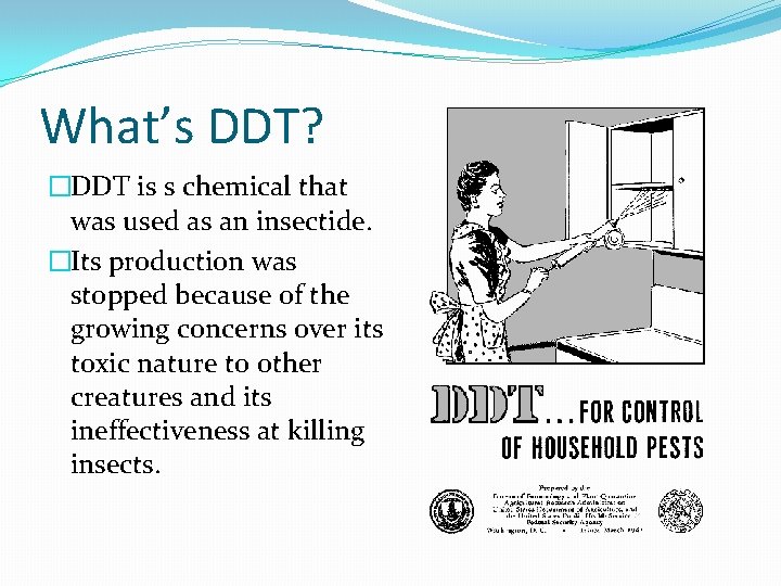 What’s DDT? �DDT is s chemical that was used as an insectide. �Its production