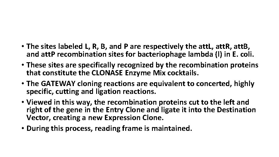  • The sites labeled L, R, B, and P are respectively the att.