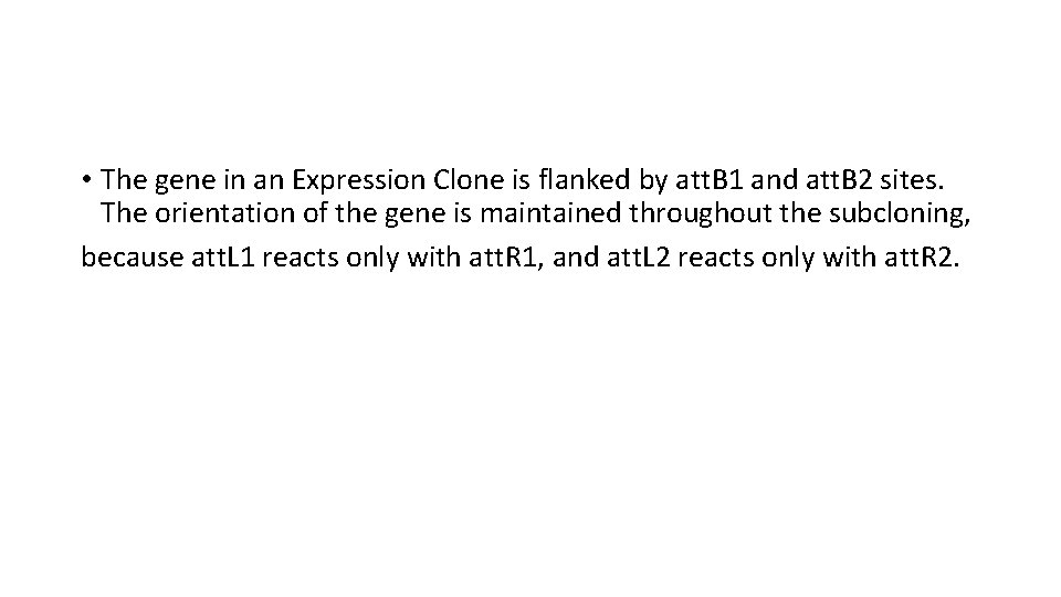  • The gene in an Expression Clone is flanked by att. B 1