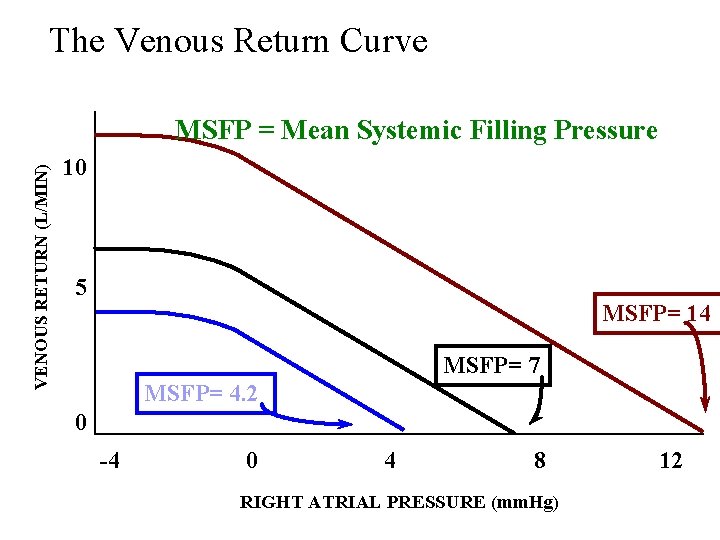 The Venous Return Curve VENOUS RETURN (L/MIN) MSFP = Mean Systemic Filling Pressure 10 The Venous Return Curve VENOUS RETURN (L/MIN) MSFP = Mean Systemic Filling Pressure 10