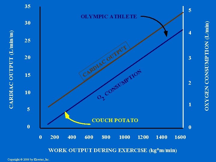 35 4 25 T U P 20 C A DI T U O R 35 4 25 T U P 20 C A DI T U O R