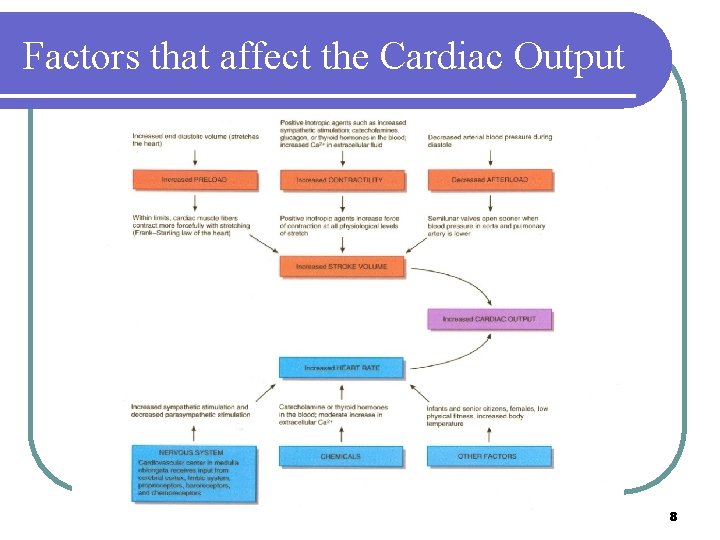 Factors that affect the Cardiac Output 8 Factors that affect the Cardiac Output 8