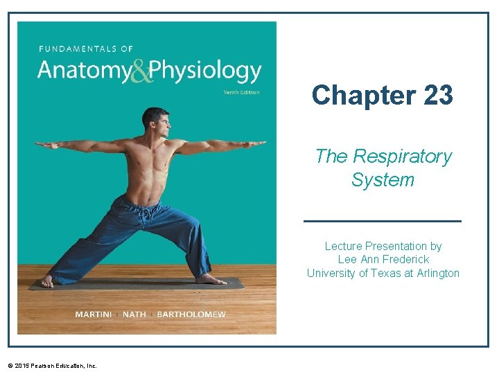 Chapter 23 The Respiratory System Lecture Presentation by Lee Ann Frederick University of Texas