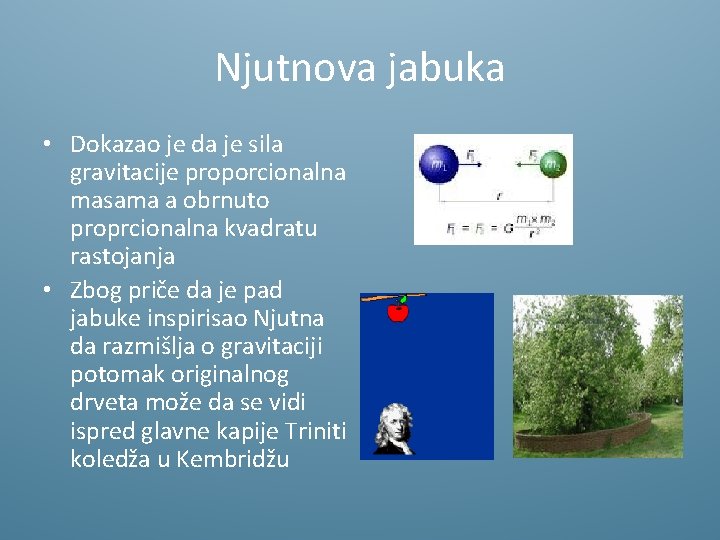 Njutnova jabuka • Dokazao je da je sila gravitacije proporcionalna masama a obrnuto proprcionalna