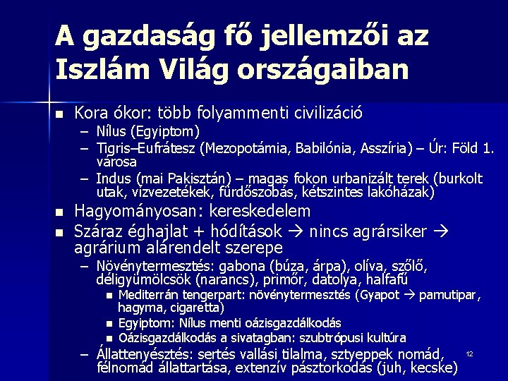 A gazdaság fő jellemzői az Iszlám Világ országaiban n Kora ókor: több folyammenti civilizáció