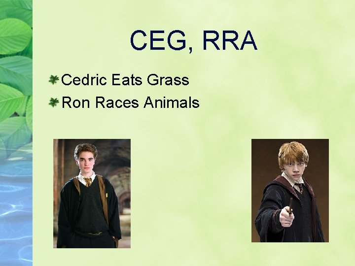 CEG, RRA Cedric Eats Grass Ron Races Animals 