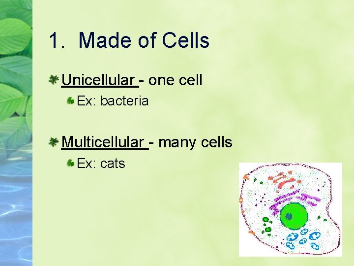 1. Made of Cells Unicellular - one cell Ex: bacteria Multicellular - many cells