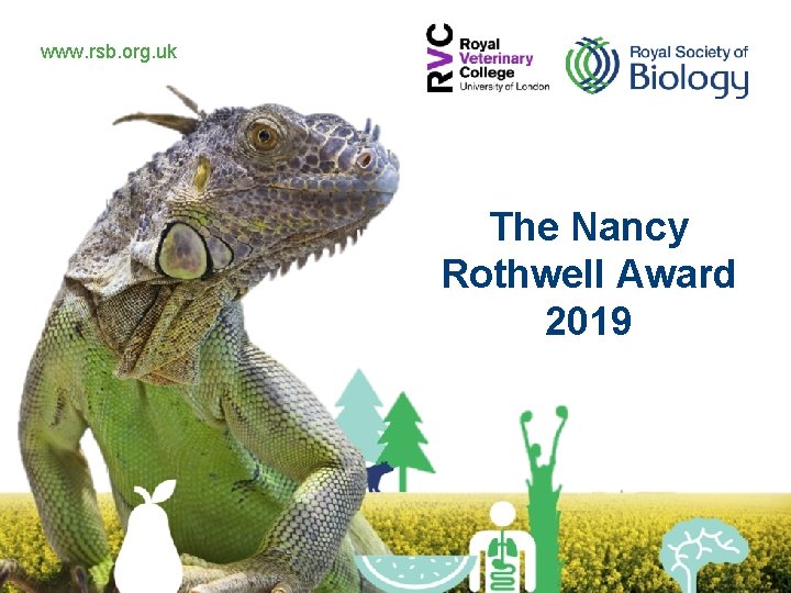 www. rsb. org. uk The Nancy Rothwell Award 2019 