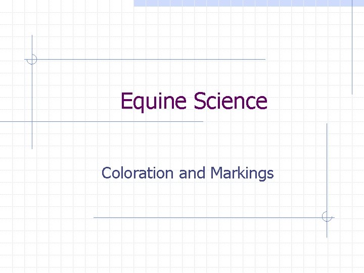 Equine Science Coloration and Markings 