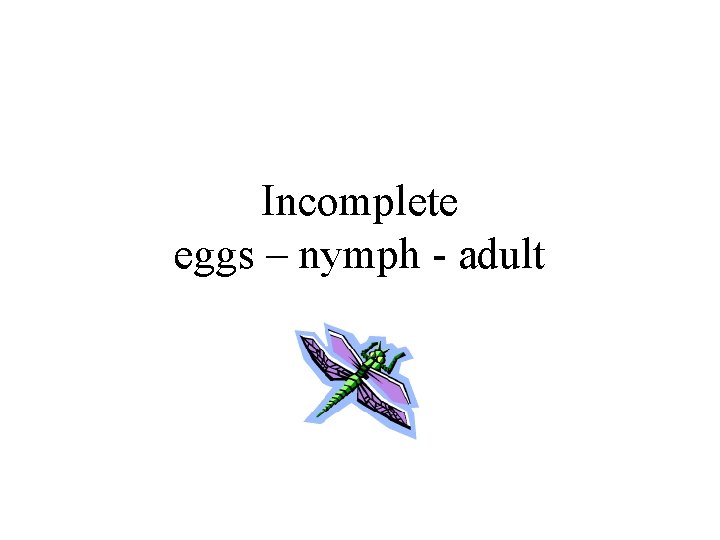 Incomplete eggs – nymph - adult 