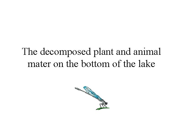 The decomposed plant and animal mater on the bottom of the lake 
