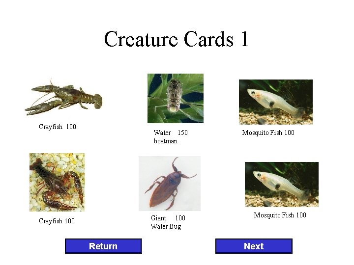 Creature Cards 1 Crayfish 100 Water 150 boatman Giant 100 Water Bug Crayfish 100