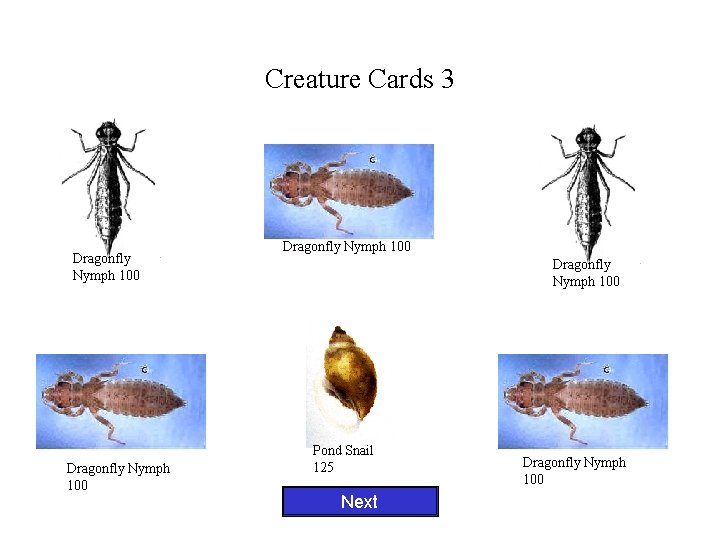 Creature Cards 3 Dragonfly Nymph 100 Pond Snail 125 Next Dragonfly Nymph 100 