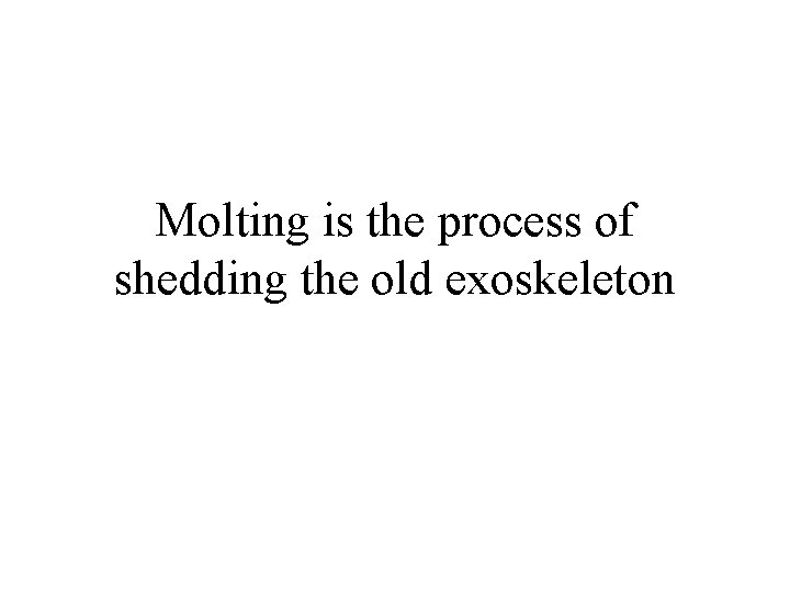 Molting is the process of shedding the old exoskeleton 