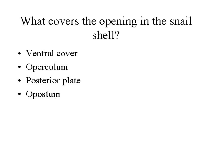 What covers the opening in the snail shell? • • Ventral cover Operculum Posterior