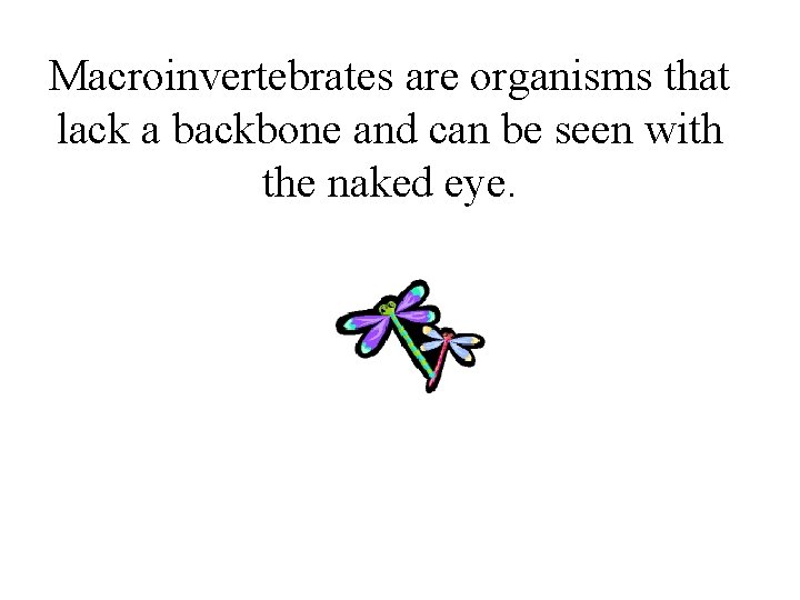Macroinvertebrates are organisms that lack a backbone and can be seen with the naked