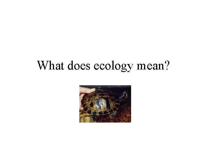 What does ecology mean? 