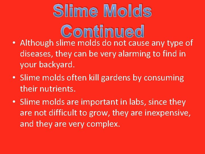 Slime Molds Continued • Although slime molds do not cause any type of diseases,