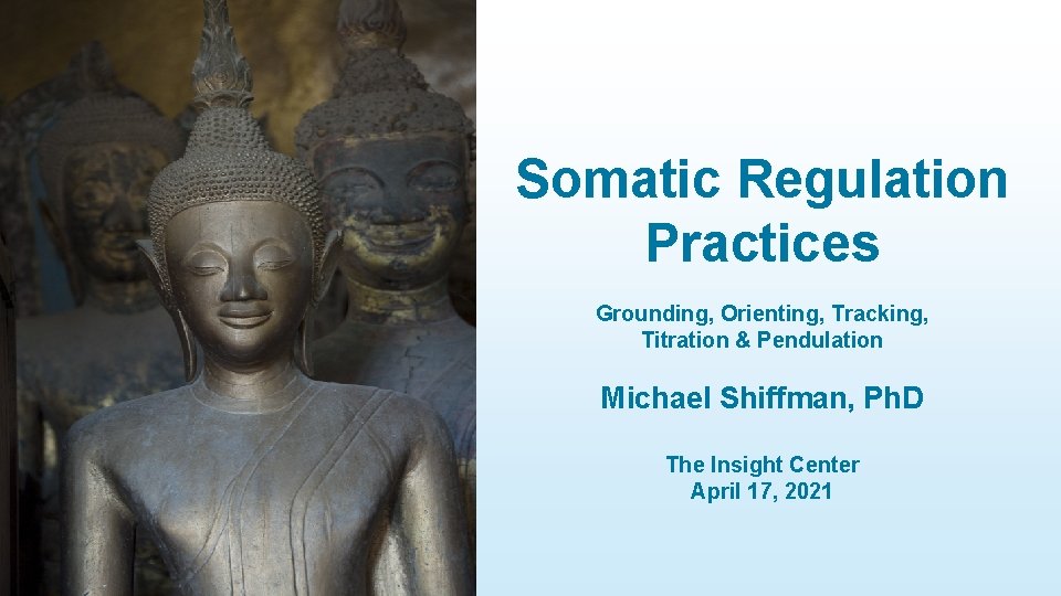 Somatic Regulation Practices Grounding, Orienting, Tracking, Titration & Pendulation Michael Shiffman, Ph. D The