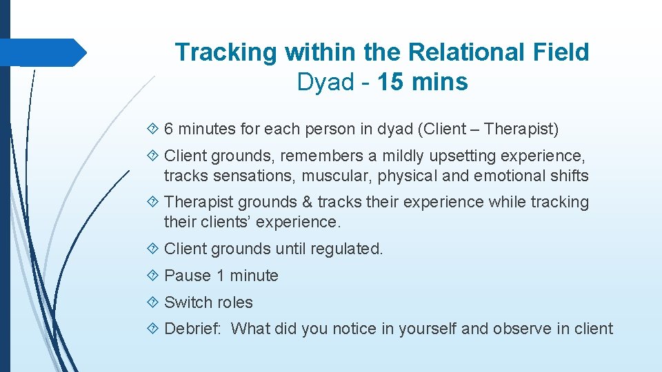 Tracking within the Relational Field Dyad - 15 mins 6 minutes for each person