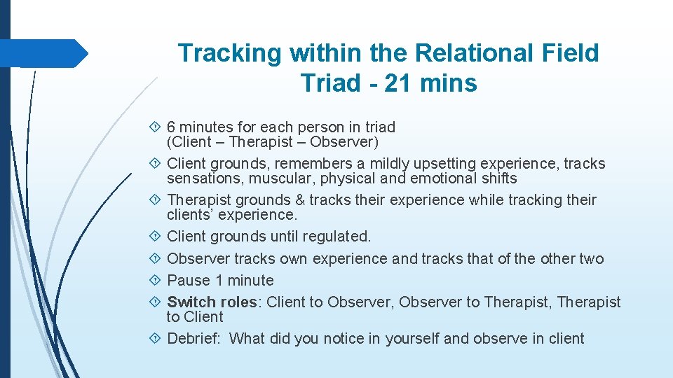 Tracking within the Relational Field Triad - 21 mins 6 minutes for each person