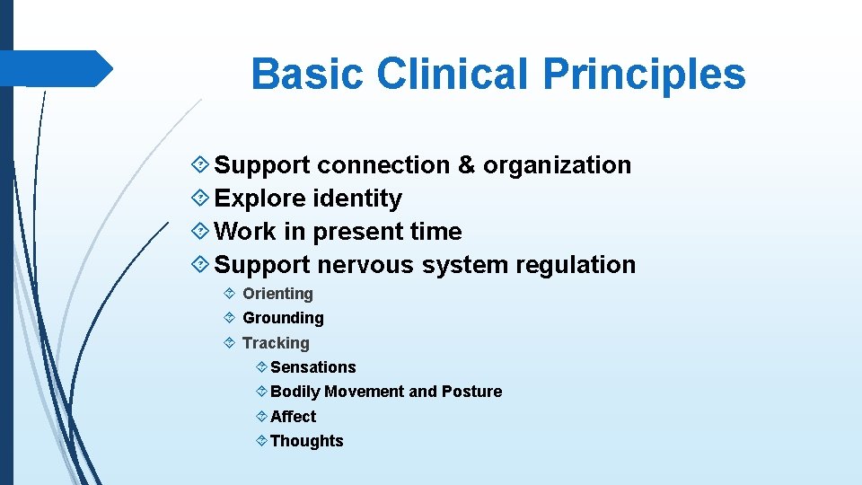 Basic Clinical Principles Support connection & organization Explore identity Work in present time Support