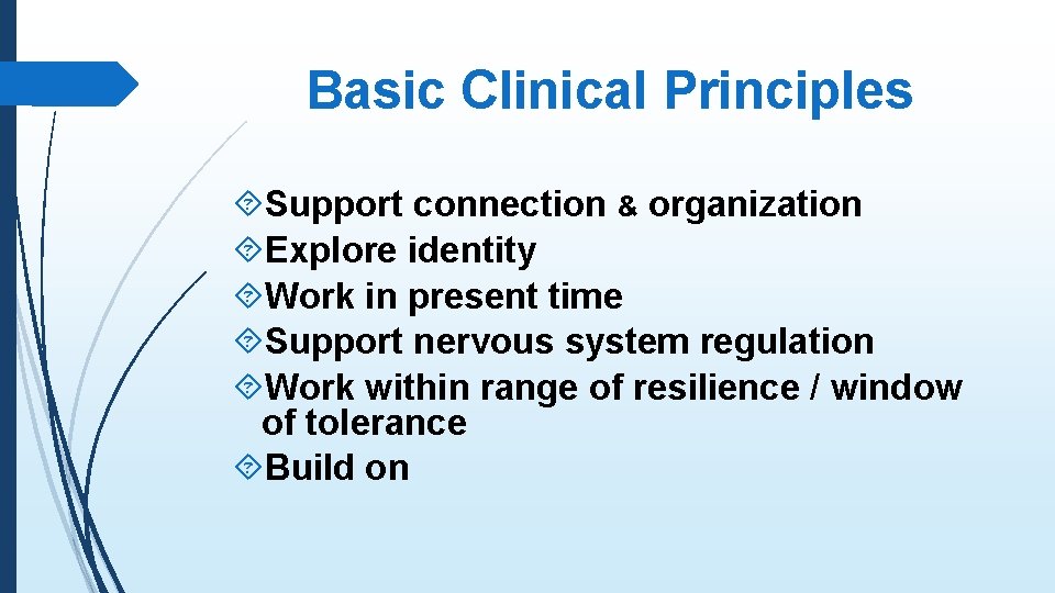 Basic Clinical Principles Support connection & organization Explore identity Work in present time Support