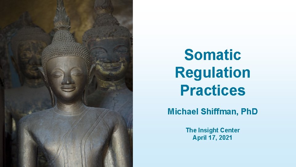 Somatic Regulation Practices Michael Shiffman, Ph. D The Insight Center April 17, 2021 